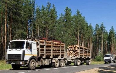 Лесовозы для перевозки леса, аренда и услуги. - Мурманск, заказать или взять в аренду