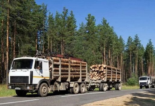 Лесовоз Лесовозы для перевозки леса, аренда и услуги. взять в аренду, заказать, цены, услуги - Мурманск