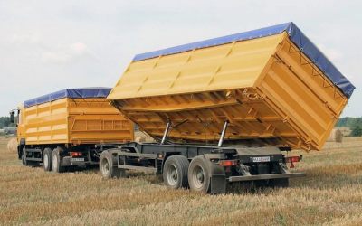 Услуги зерновозов для перевозки зерна - Североморск, цены, предложения специалистов