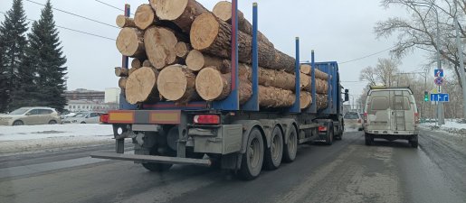 Поиск транспорта для перевозки леса, бревен и кругляка стоимость услуг и где заказать - Мурманск